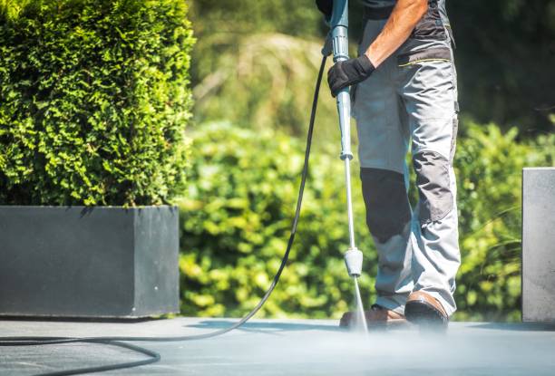 Best Sidewalk and Walkway Cleaning  in Hoopers Creek, NC