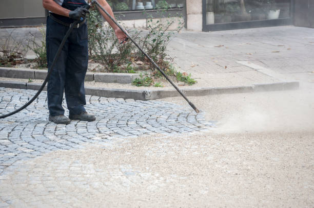 Best Animal Enclosure Cleaning  in Hoopers Creek, NC